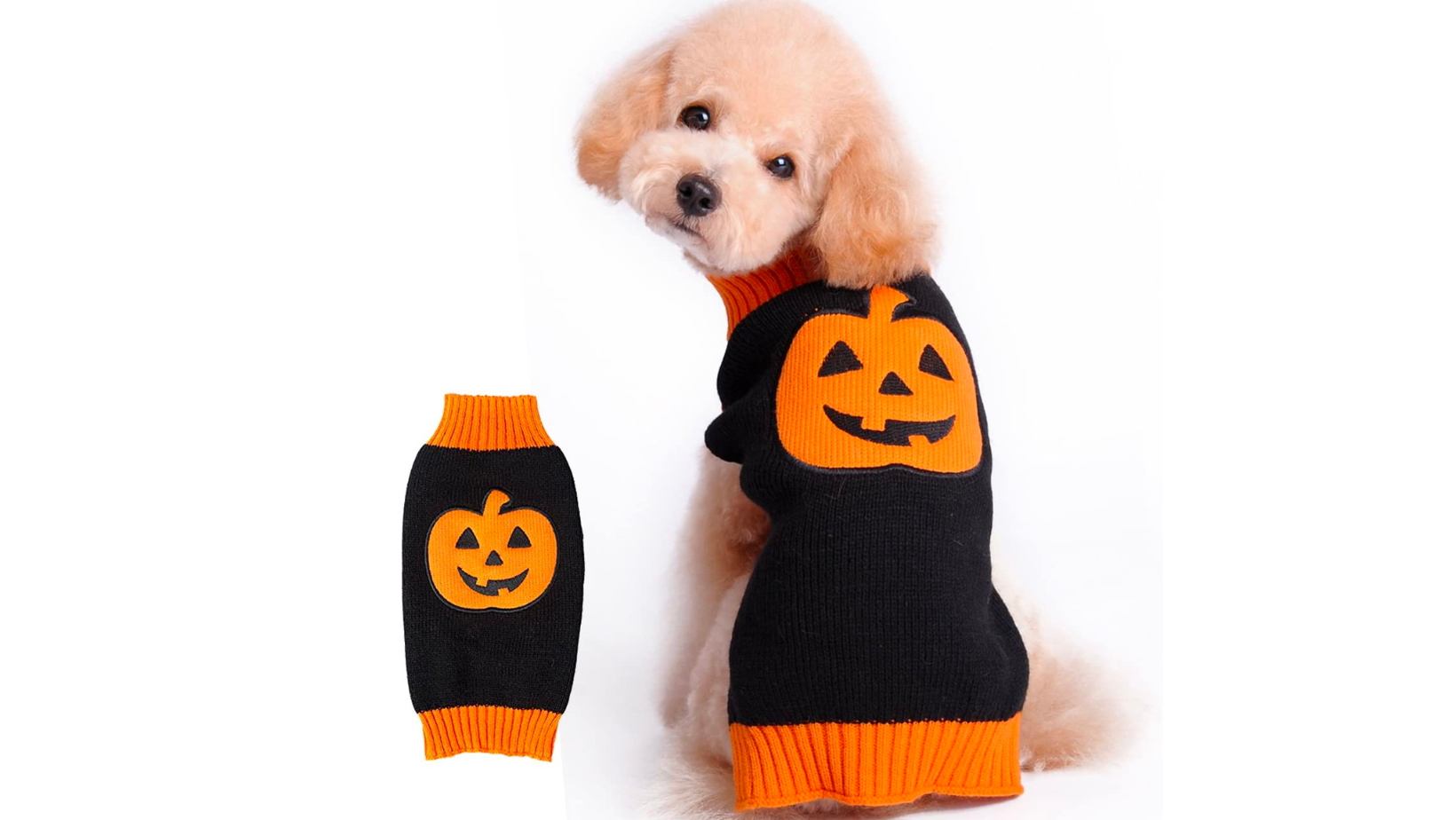 Halloween sweater for dogs with pumpkin model