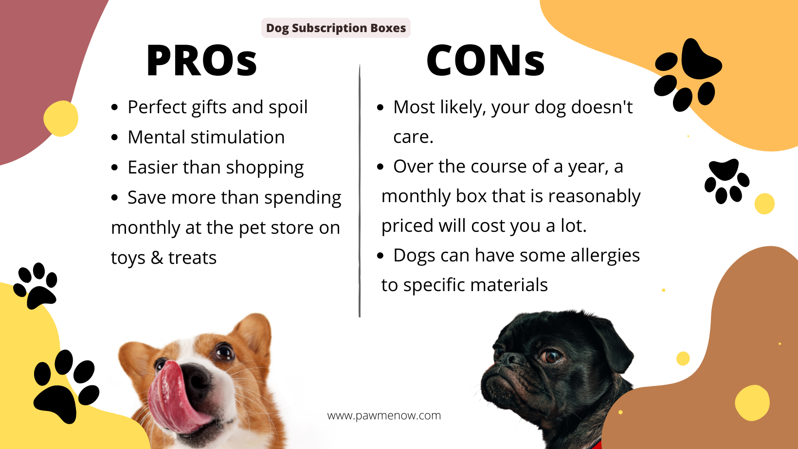Dog subscription boxes PROs and CONs