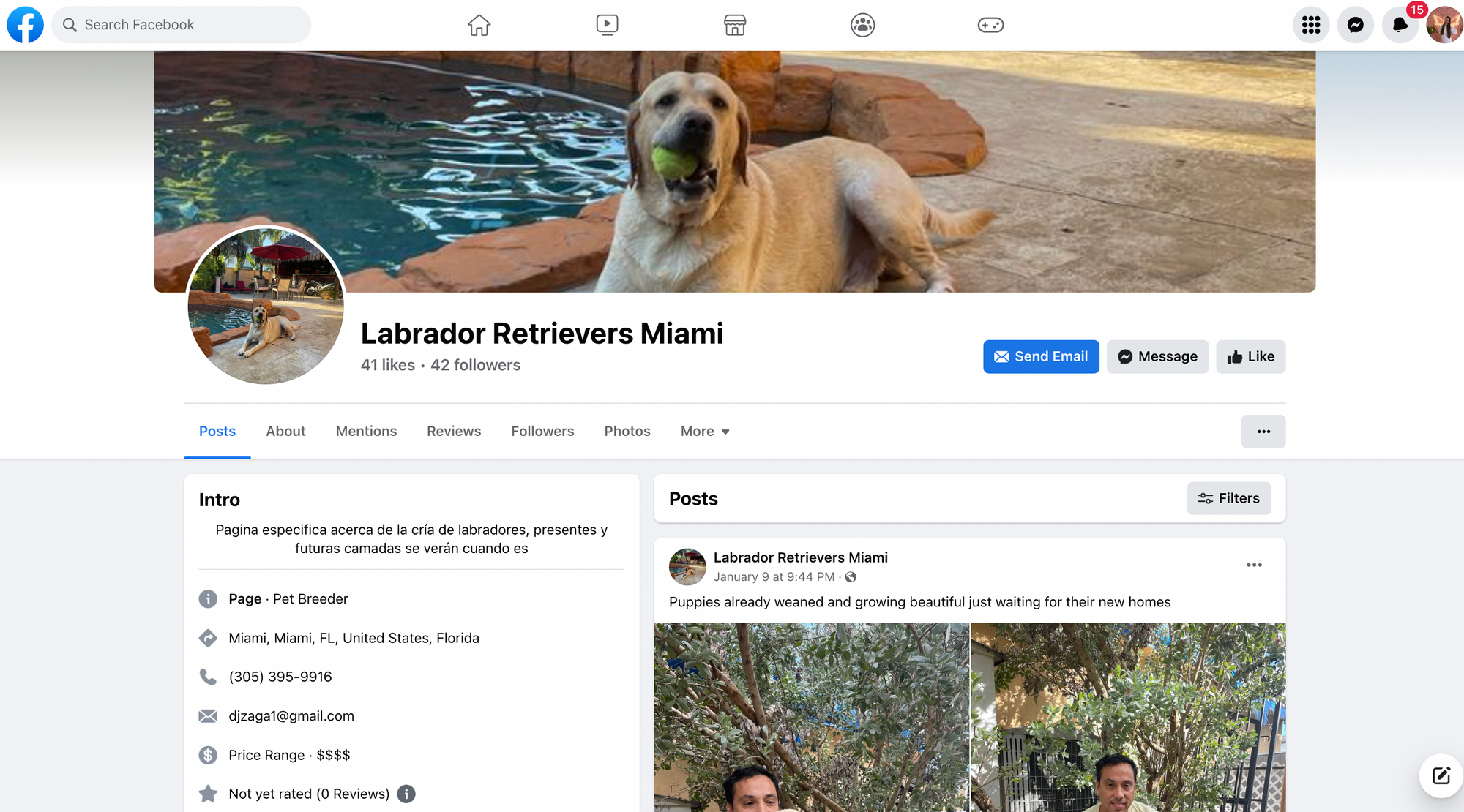 labs-miami-facebook-page-group