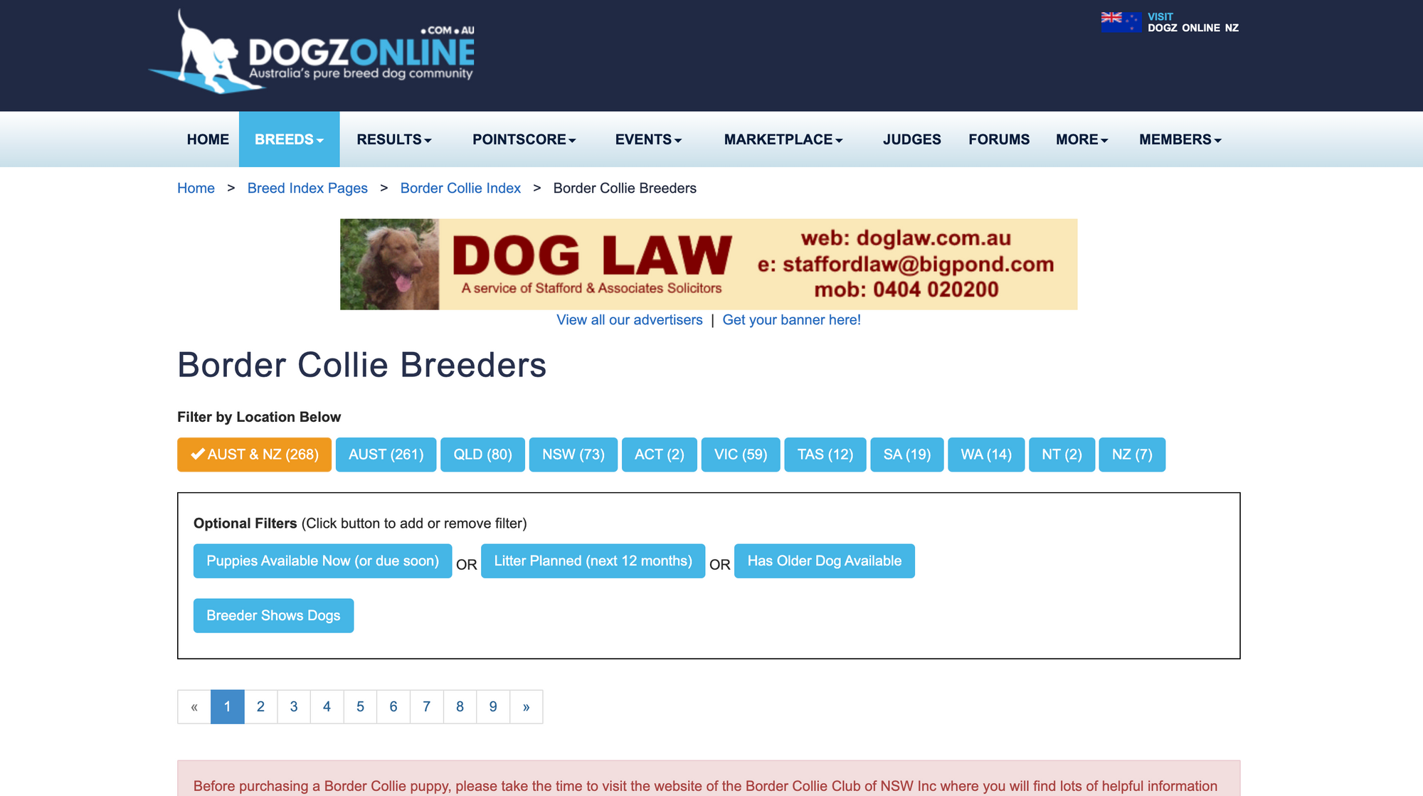 online-border-collie-breeder-australia