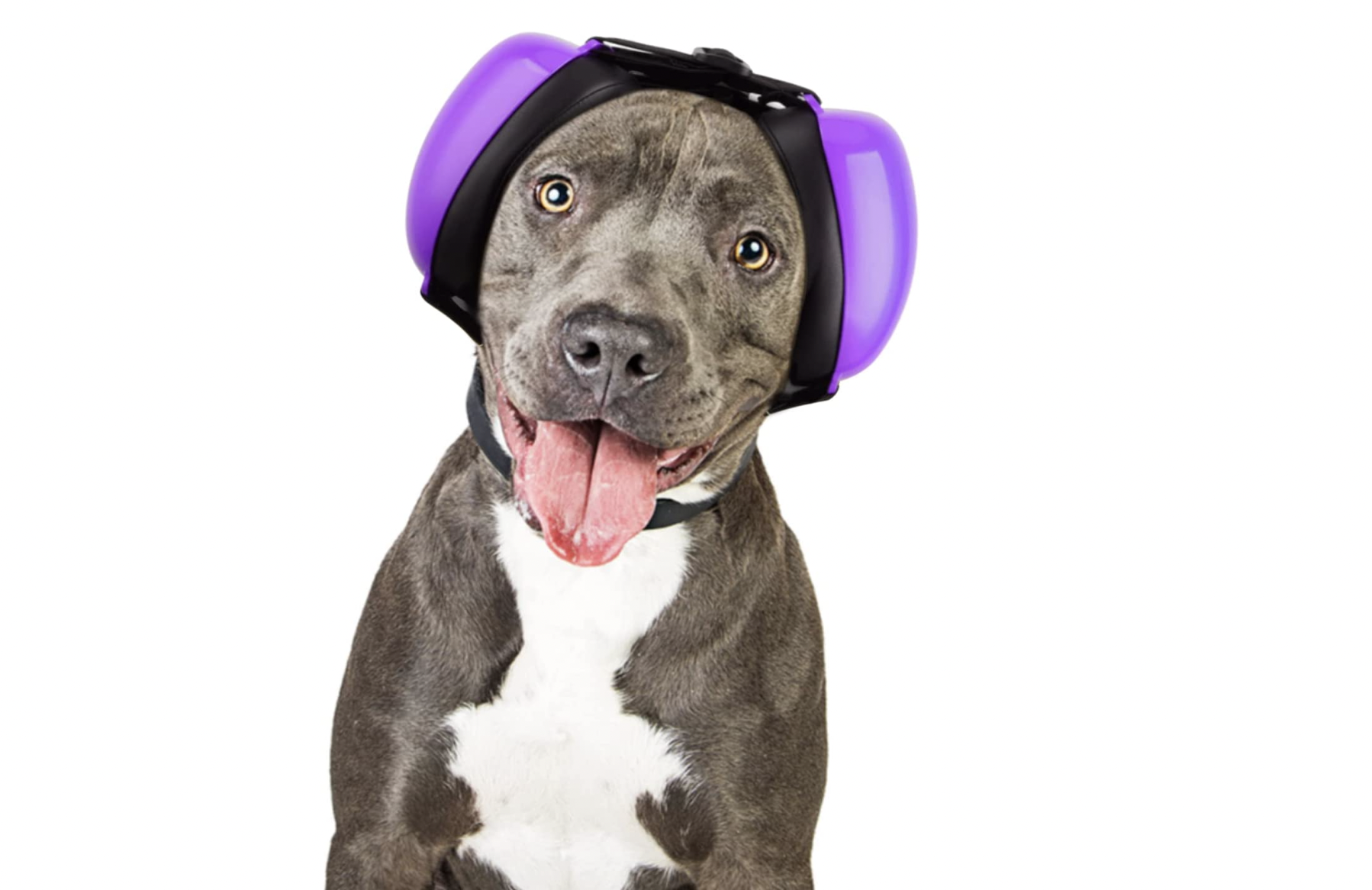 Dog Ear Muffs for Thunder: 3 Best Picks of 2024