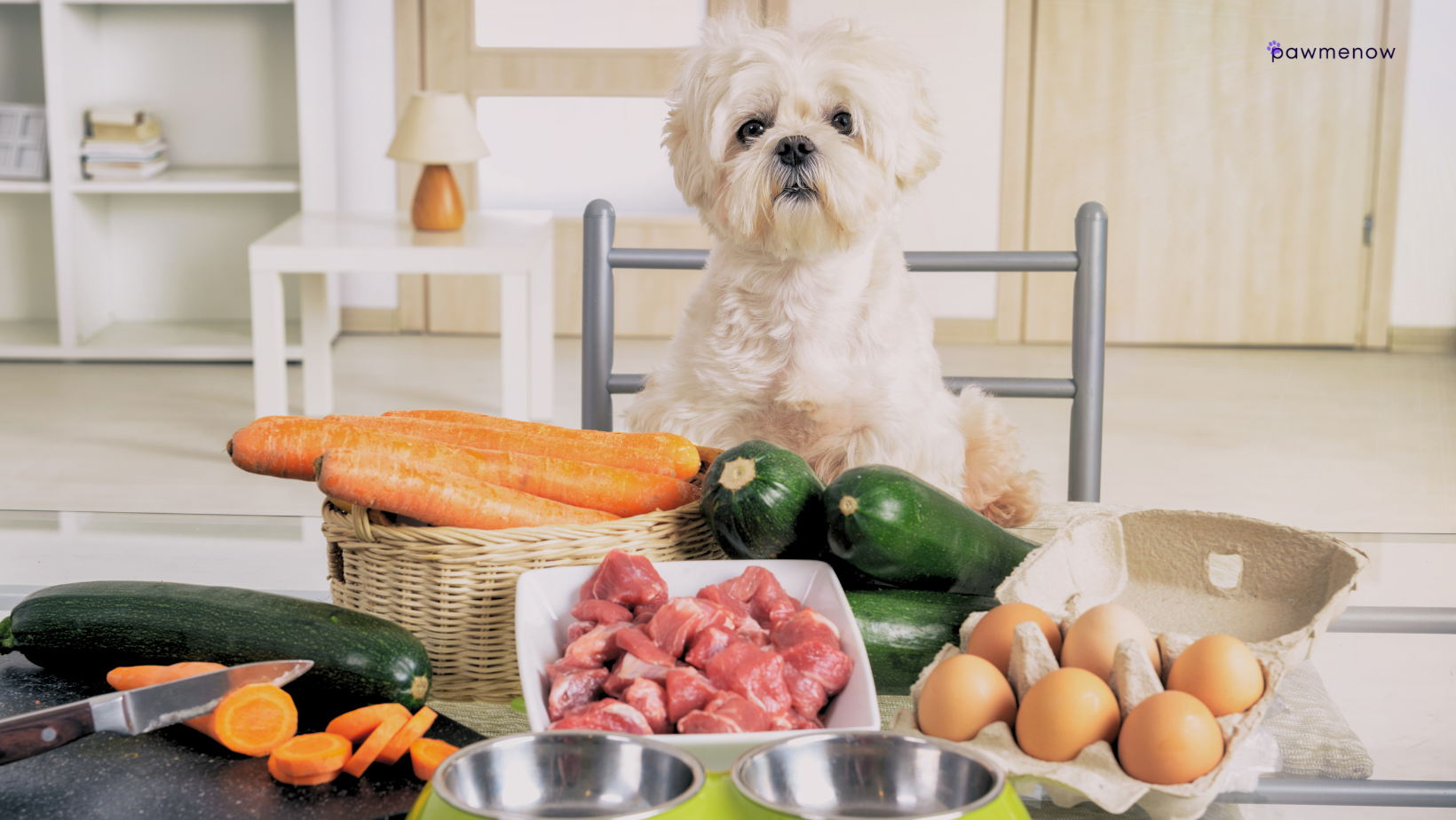 Homemade Food Recipes for Puppies