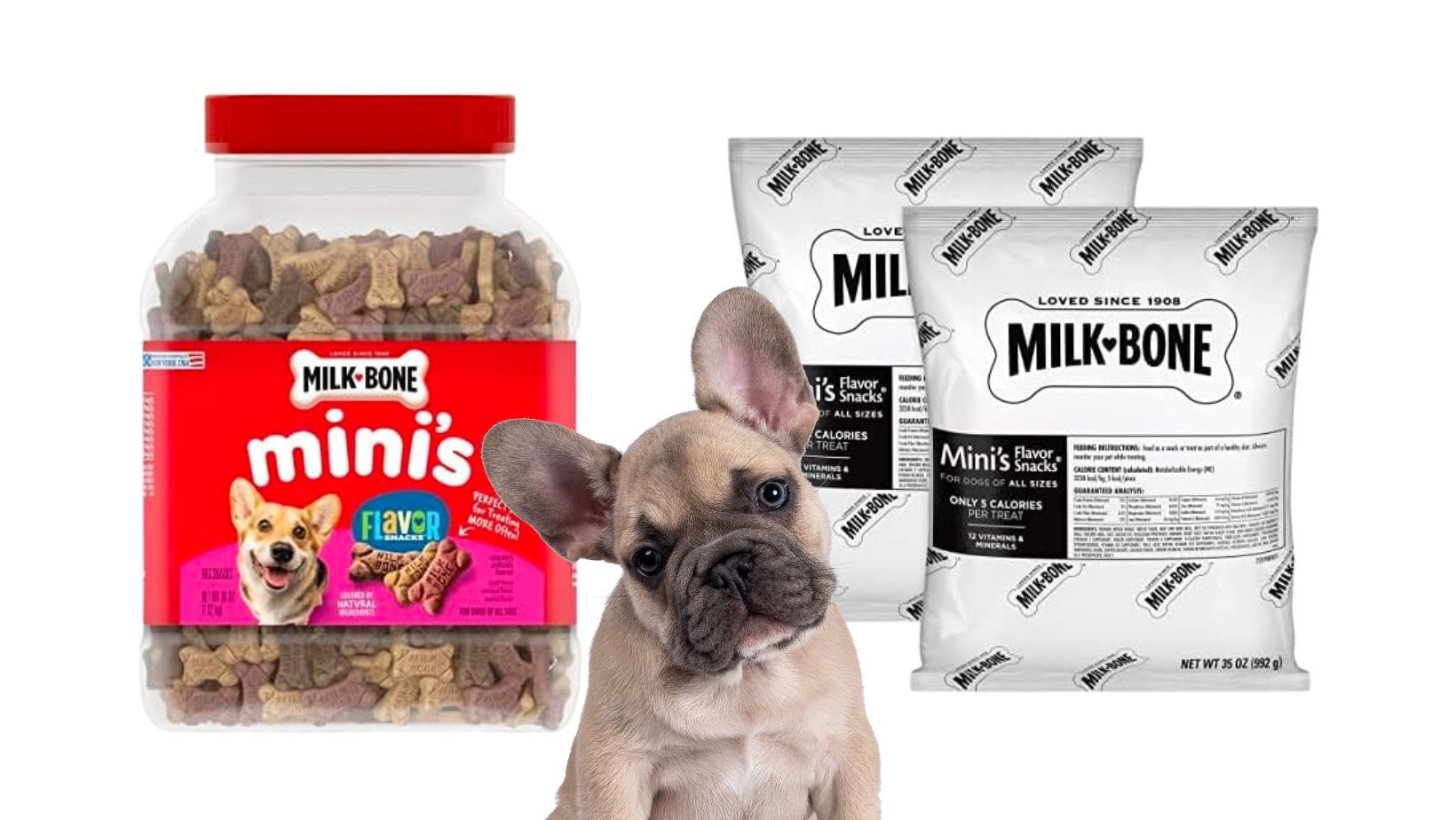 Milk-Bone Mini's Flavor Snacks Dog Treats + Refill Bundle