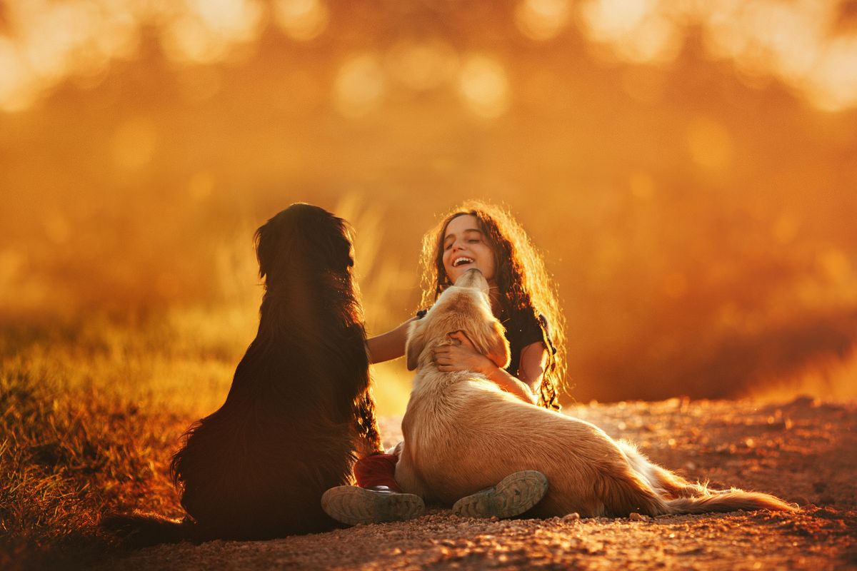 15 Most Affectionate Dog Breeds: Dogs for Kids and Families
