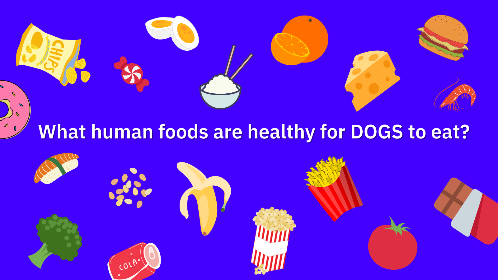 What Human Foods are Healthy for Dogs to Eat?