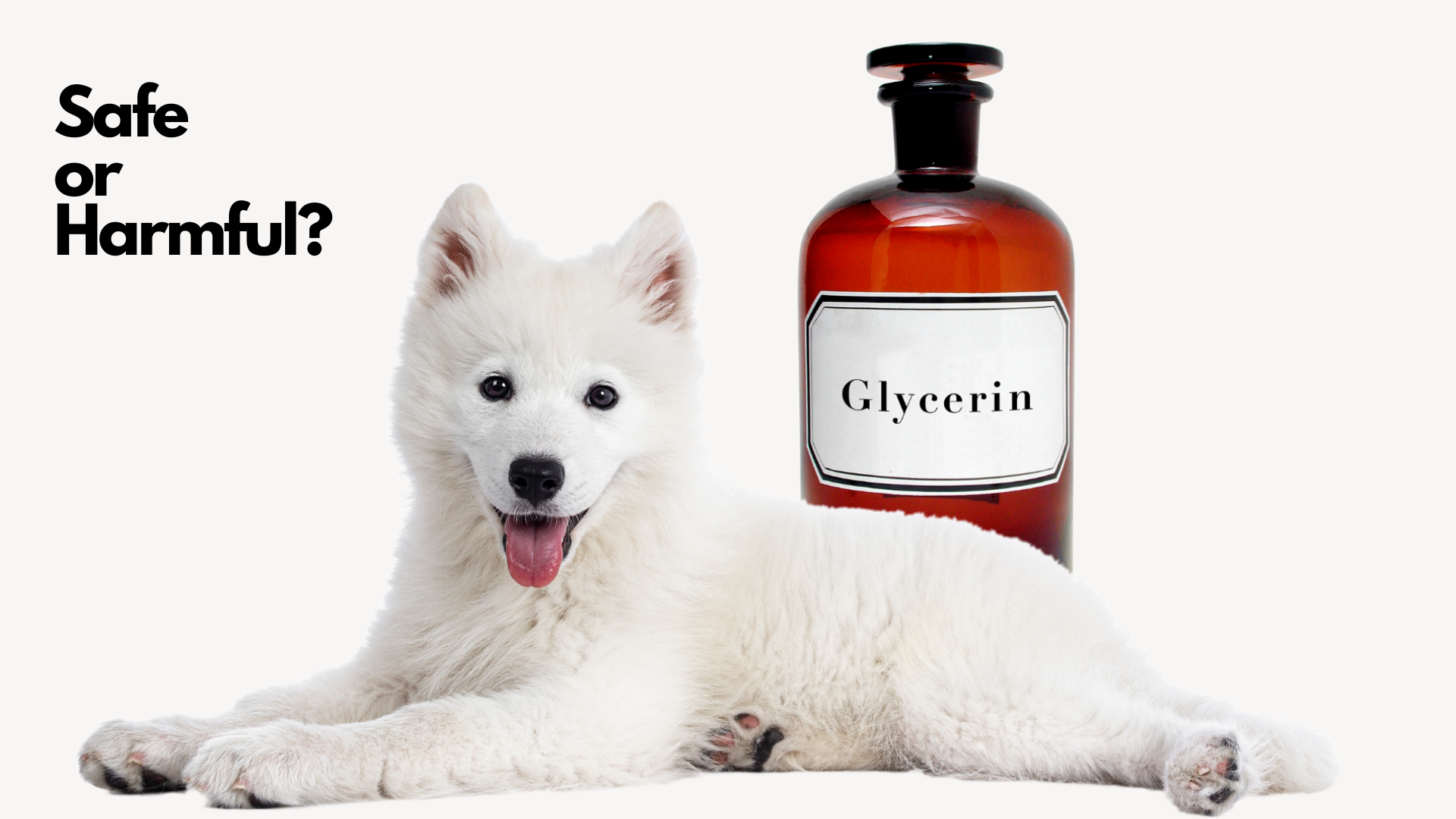 Is Glycerin Bad for Dogs? Everything You Must Know