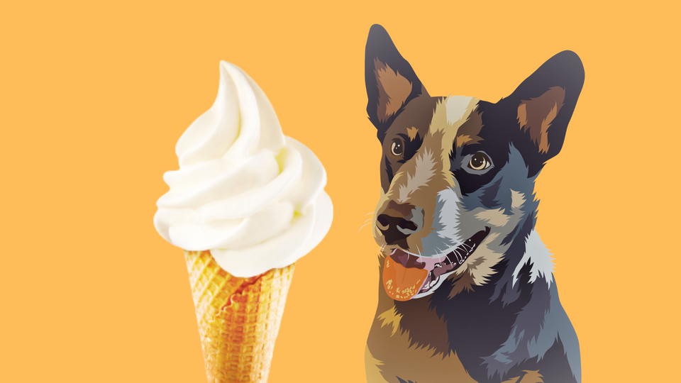 dog vanilla ice cream
