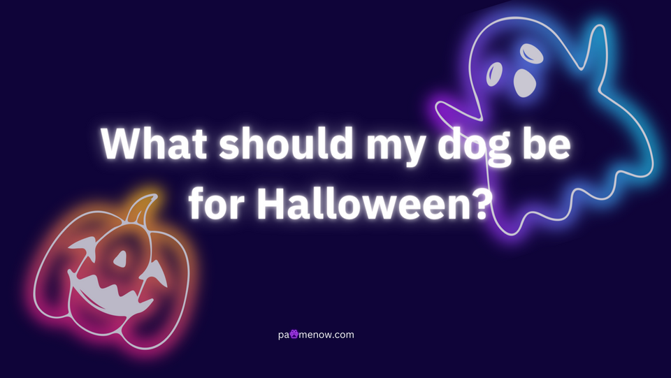 What should my dog be for Halloween?