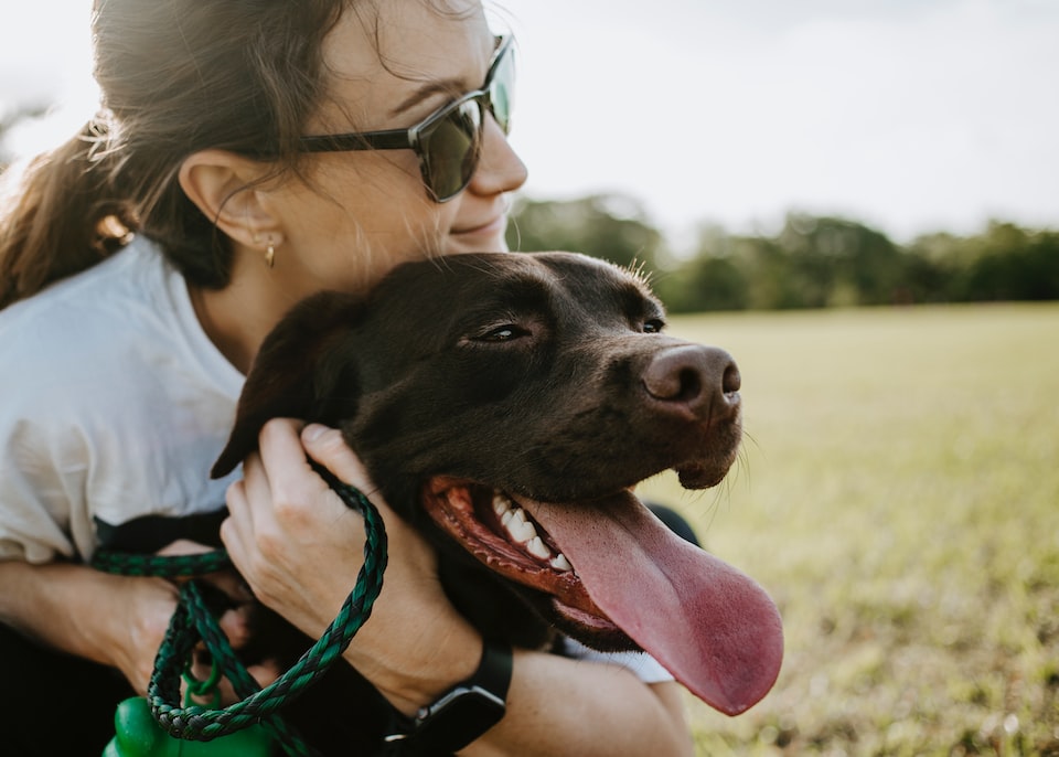 Can You Be Allergic to Hypoallergenic Dogs? The Truth Behind the Myth
